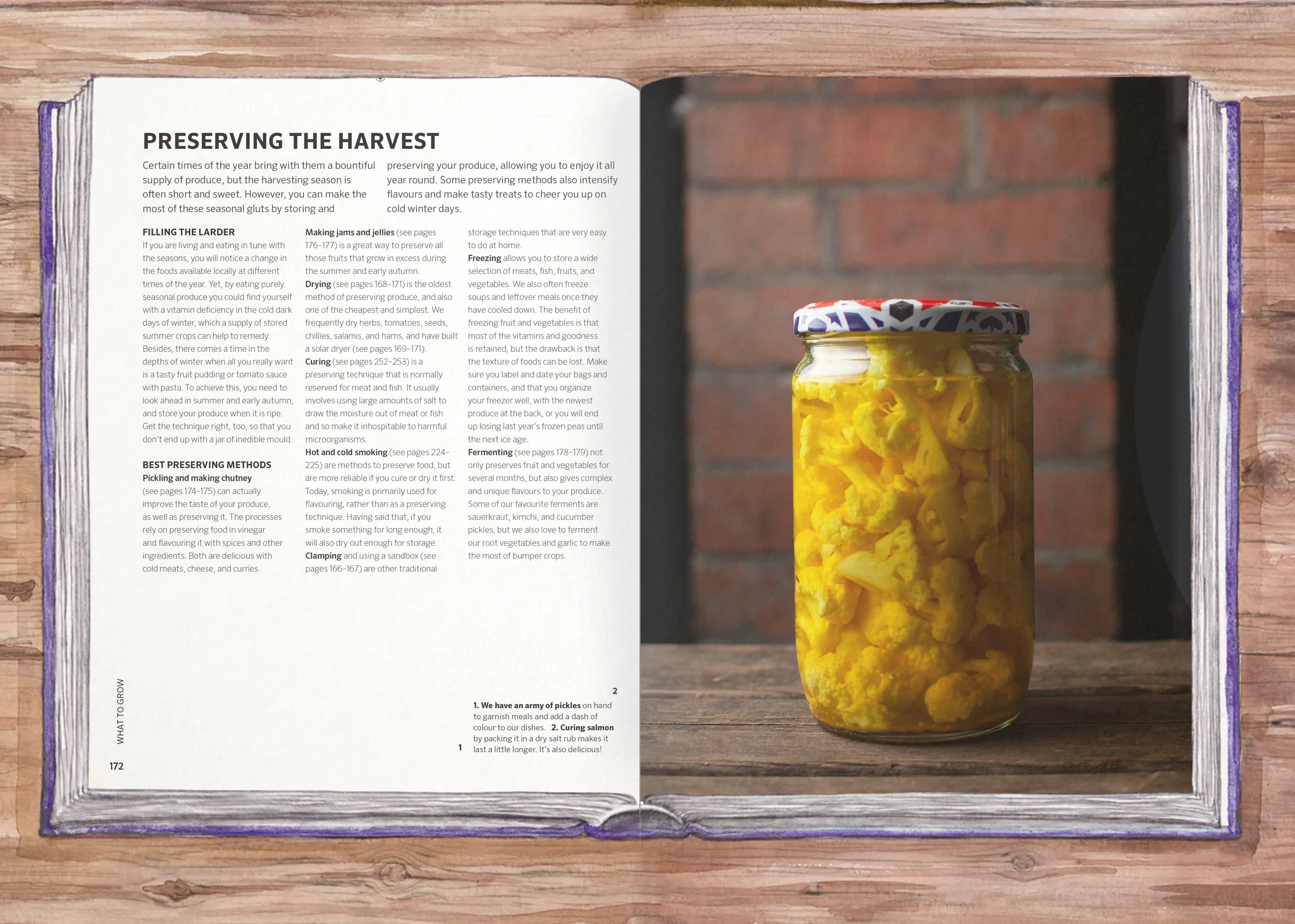 Practical Self-Sufficiency - Image 3